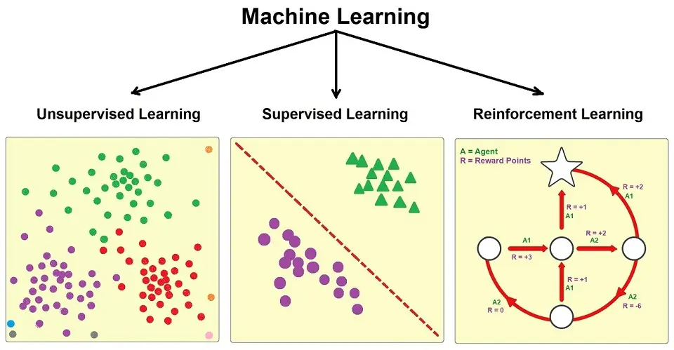 Labeled dataset with arrows pointing to output predictions