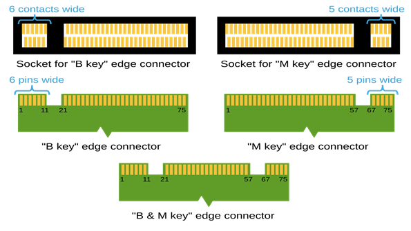 M.2 form factor branching into two paths: M.2 SATA SSD and M.2 NVMe SSD, visually identical stick shape, different interface labels.
